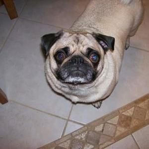 Meet your Posher, Debra